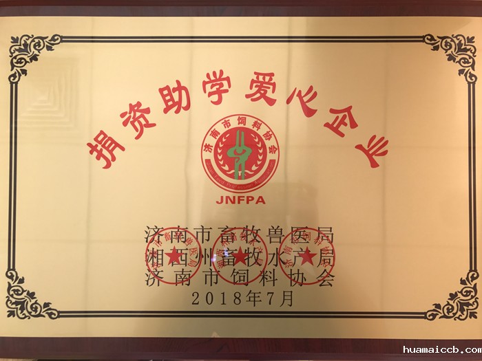 2026世界杯资格赛 2026世界杯资格赛