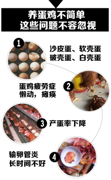 1536808787826364.png 9.png