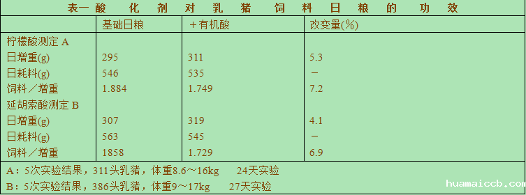 2026世界杯资格赛 2026世界杯资格赛