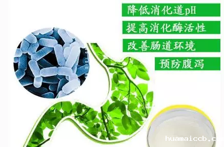 2026世界杯资格赛 2026世界杯资格赛