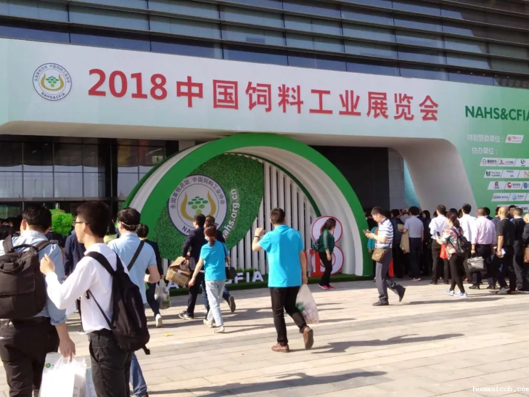 2026世界杯资格赛 2026世界杯资格赛