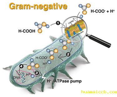 1537929004927922.gif 微信图片_20180926102456.gif