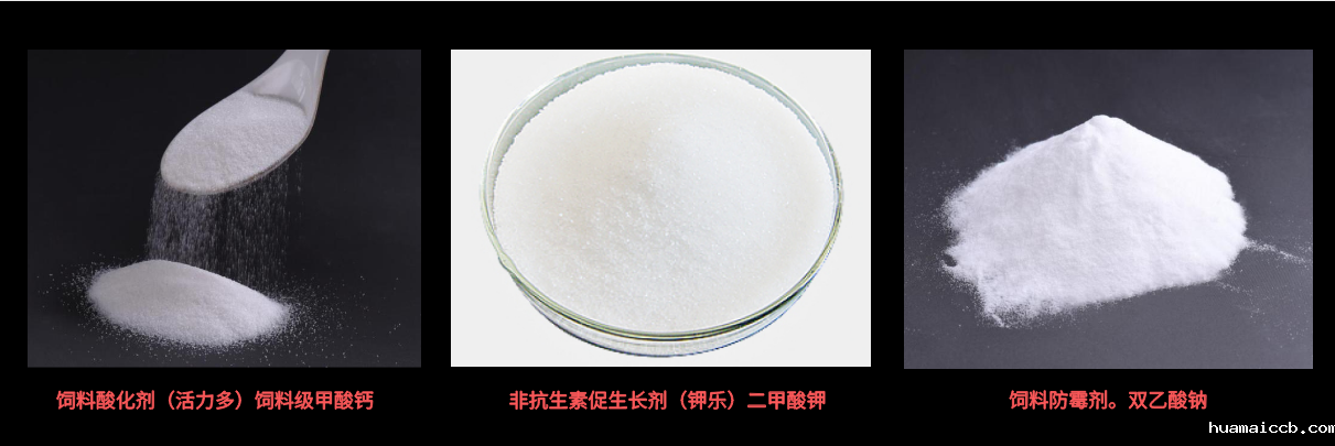 2026世界杯资格赛 2026世界杯资格赛