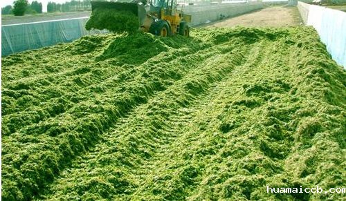 1556505936724800.jpg timg.jpg