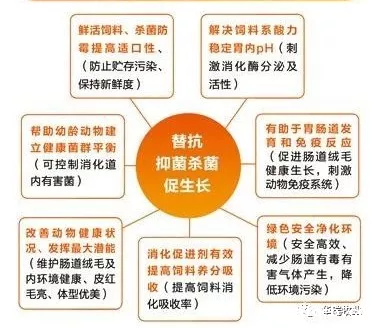 2026世界杯美国主办 2026世界杯美国主办