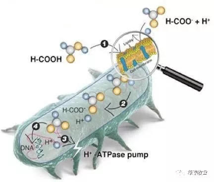 2026世界杯美国主办-钾乐 2026世界杯美国主办-钾乐