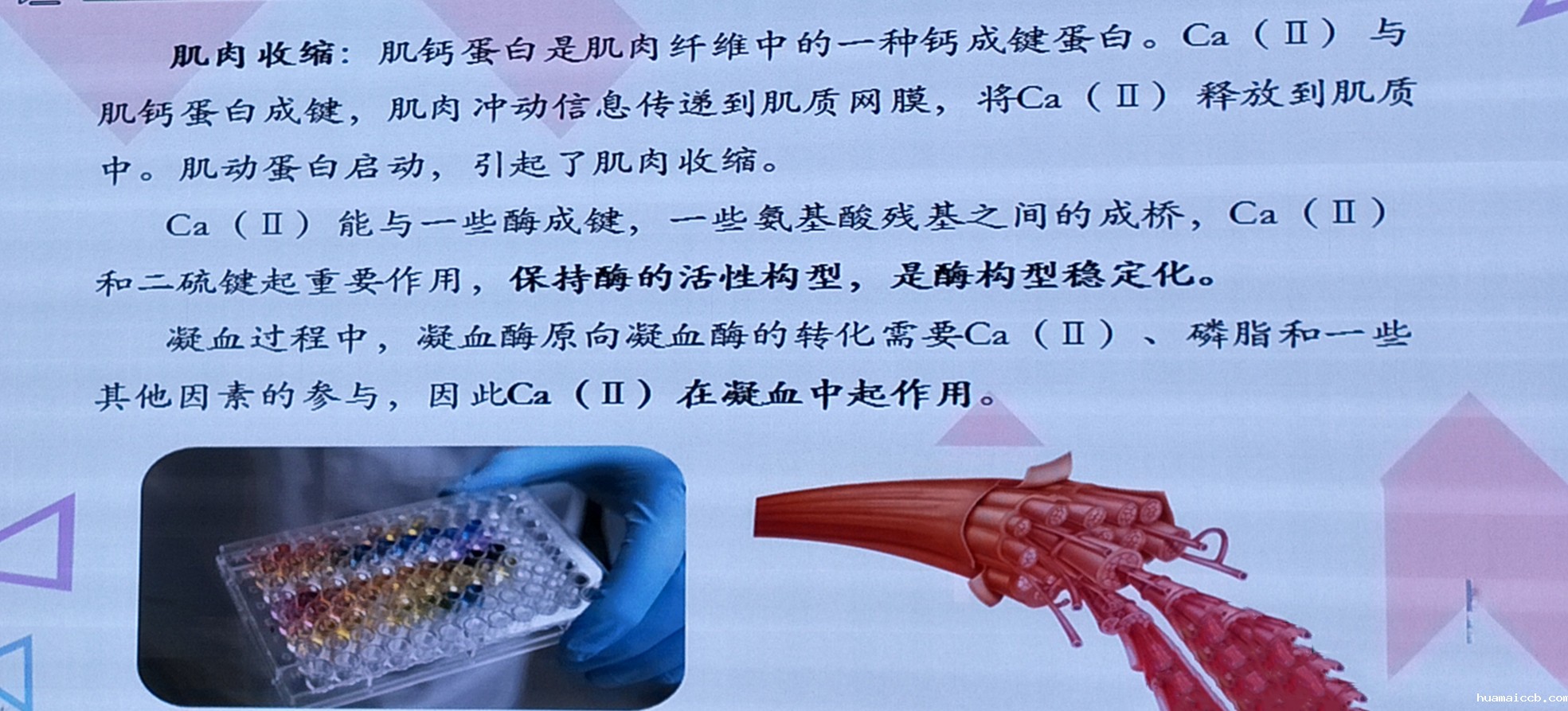 1562915128500190.jpg 微信图片_20190712090954.jpg