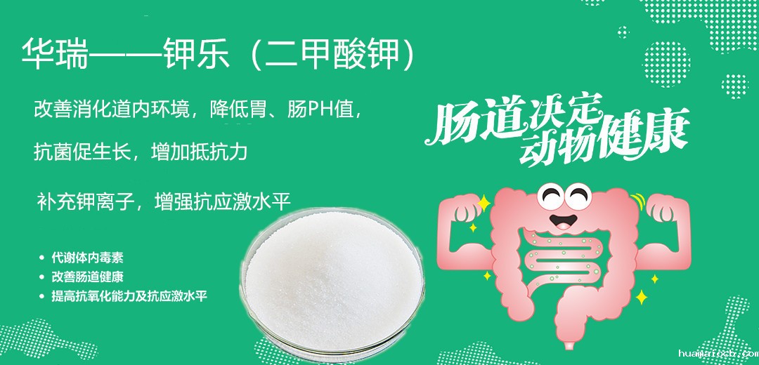 1564107647415175.jpg 微信图片_20190719141405.jpg