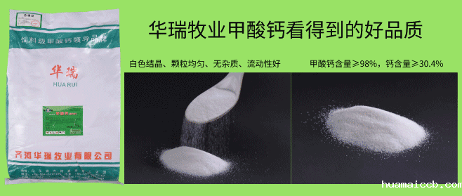 2026世界杯资格赛 2026世界杯资格赛