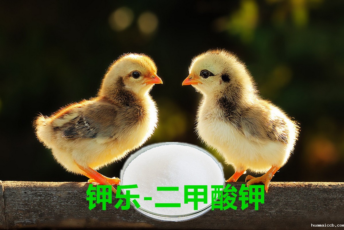 1566177748204243.jpg 20160830083627_5787.jpg