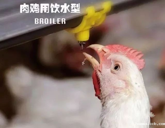 1566177768907840.jpeg 41919c28b23748e490f73bd81c700c0e.jpeg