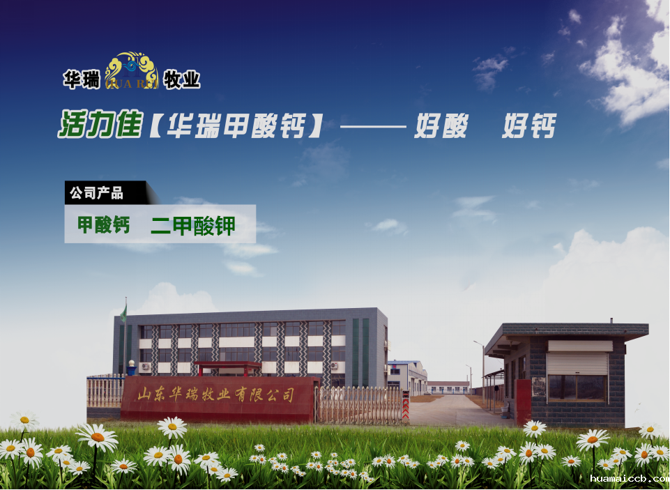 1568602997228753.png 1 (1).png