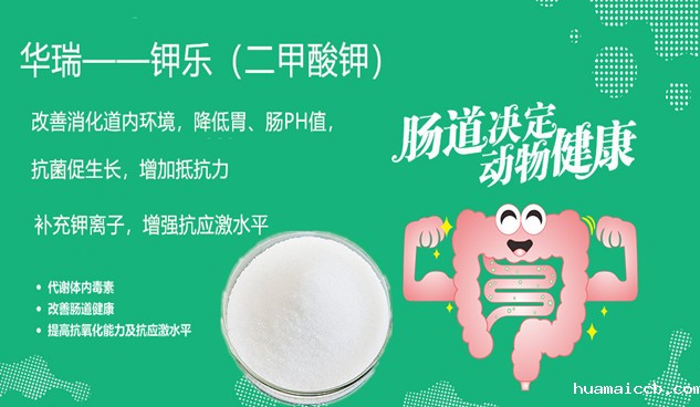 1573097118646688.jpg 微信图片_20190719141405_副本.jpg