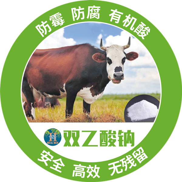 1575252521997607.png 10_副本 (1).png