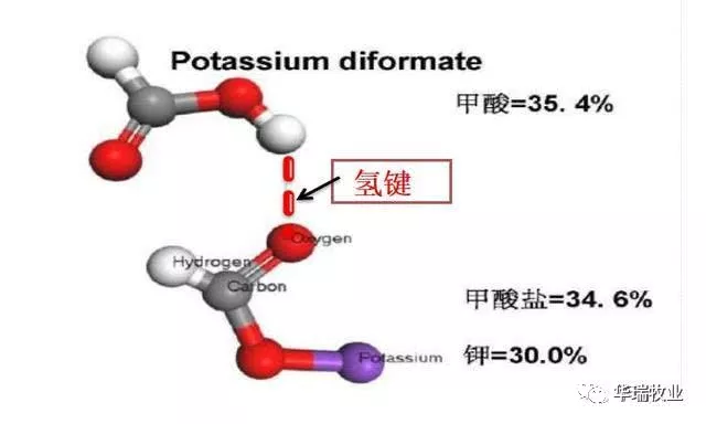 1583390744649255.png 微信图片_20191118090025.png