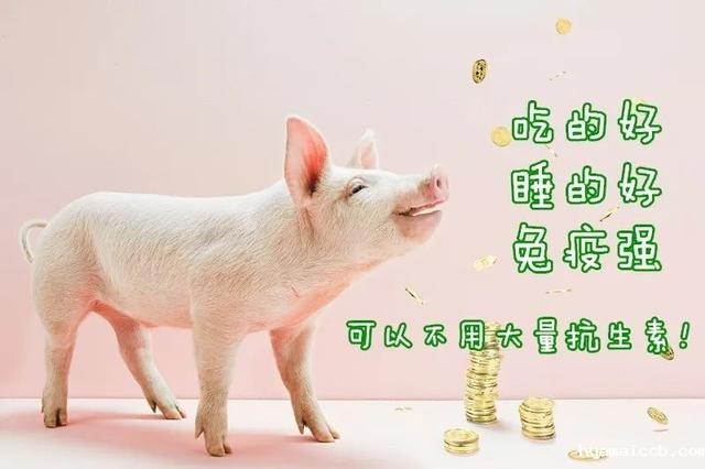 1590041114747175.jpeg 4034970a304e251f385f2675c96b6c117d3e5383.jpeg