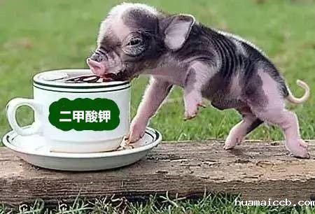 1590719367423861.jpg u=2681820037,4247810544&fm=26&gp=0.jpg