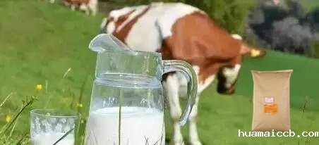 1591338259525316.jpg u=3018962889,152787996&fm=26&gp=0.jpg