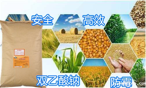 1593512810540479.jpg timg.jpg