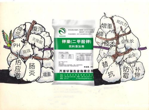 1596504658210489.jpg u=836635232,2769422964&fm=26&gp=0_副本.jpg