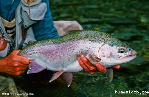 1599631383526763.jpg u=2840411165,1438555116&fm=26&gp=0.jpg