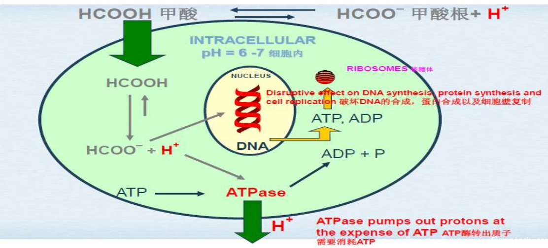 1609122853948777.png 微信图片_20190801081456.png