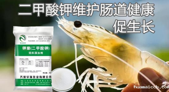 1614241503725260.jpg u=3311103578,4112104337&fm=15&gp=0_副本.jpg