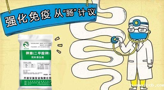 1615272705213731.jpg 5b0988e595225.cdn.sohucs.jpg