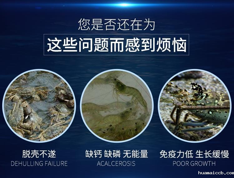 1616568656611641.jpg cbu01.alicdn.jpg