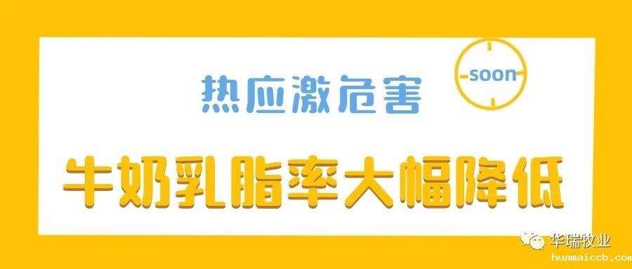 1657001341213341.jpg 5.jpg