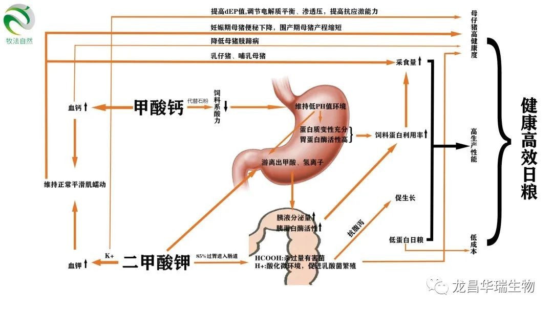 1668568335560769.jpg 1.jpg