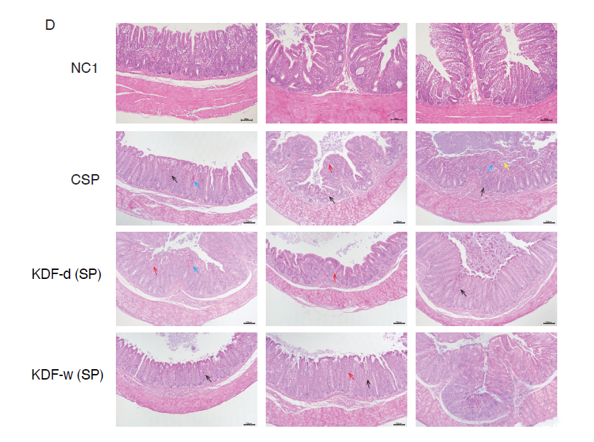 1677641853142918.png 4.png