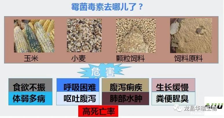 1678246048776373.jpg 1.jpg