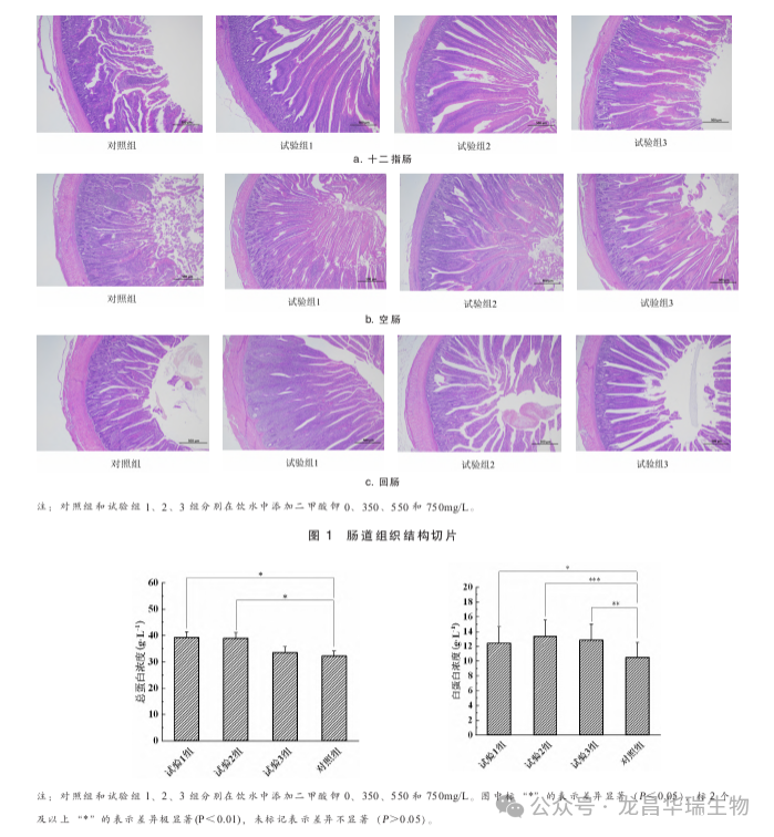 1708395946915278.png 3.png