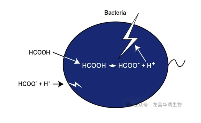 1734569242996900.png image.png