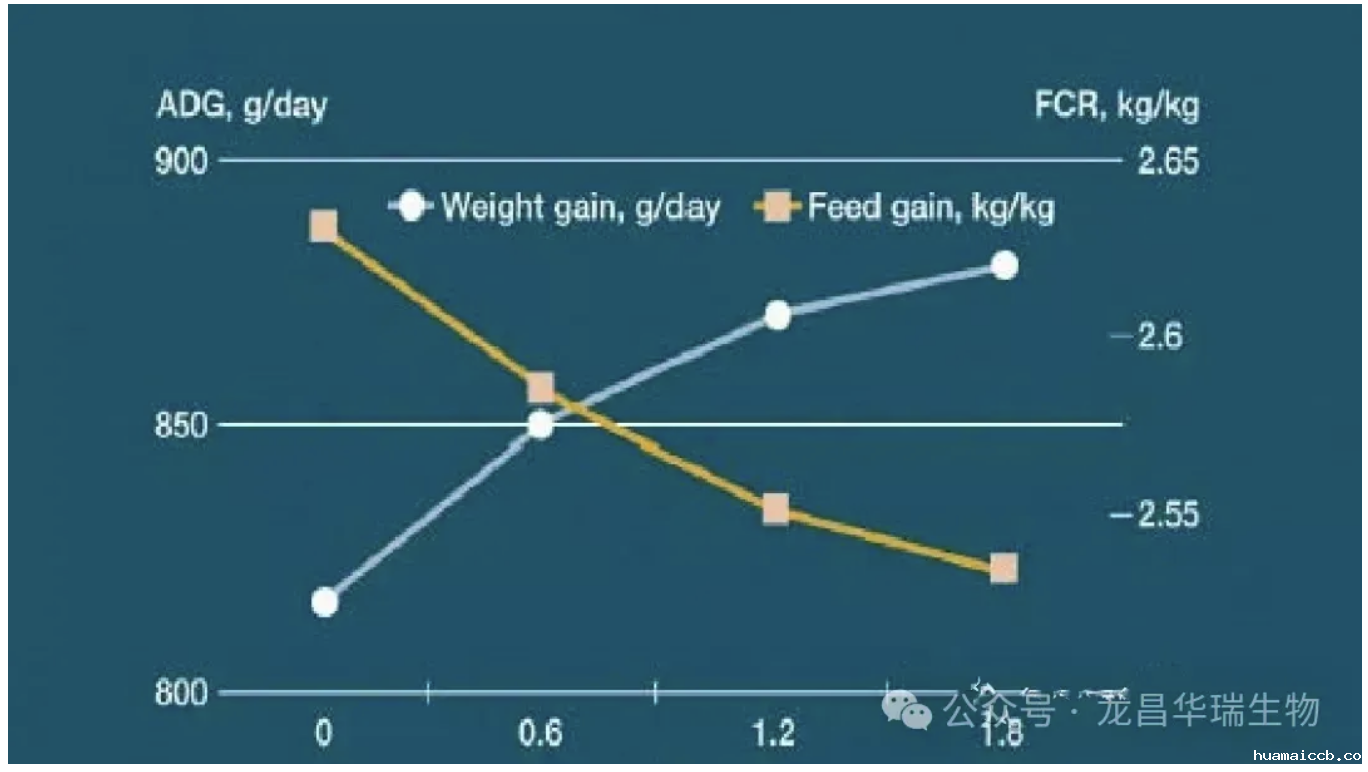 1734743478887220.png 1734743478887220.png