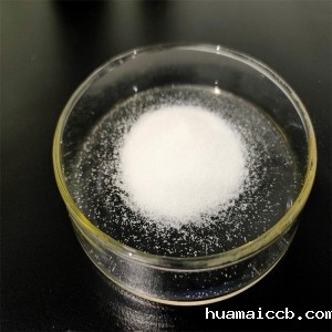 呼和浩特2026世界杯资格赛