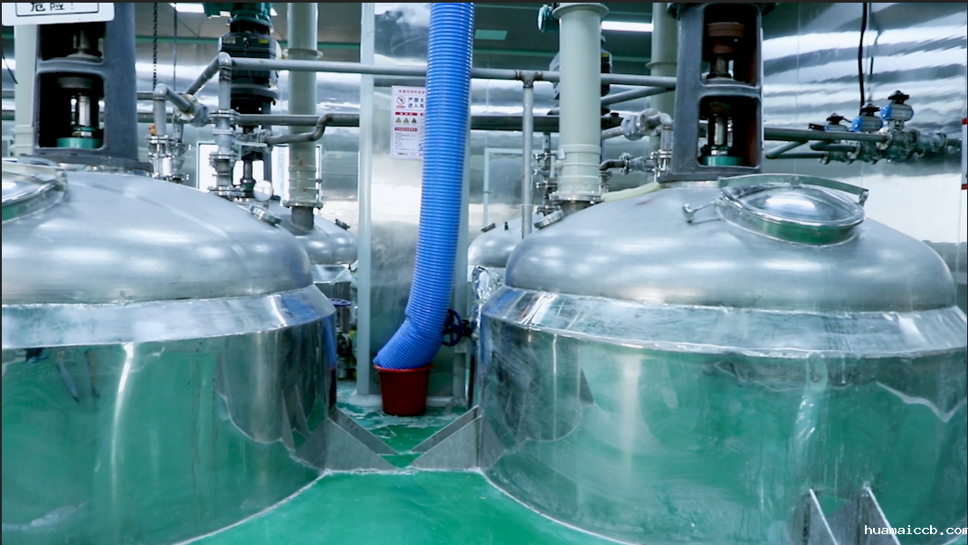 2026世界杯美国主办