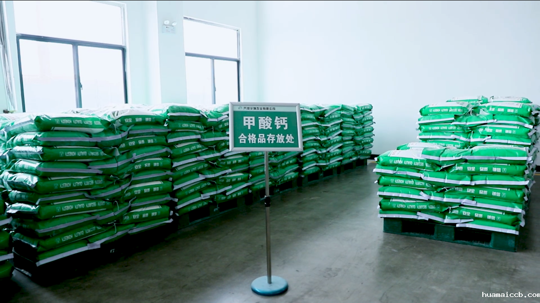 2026世界杯资格赛