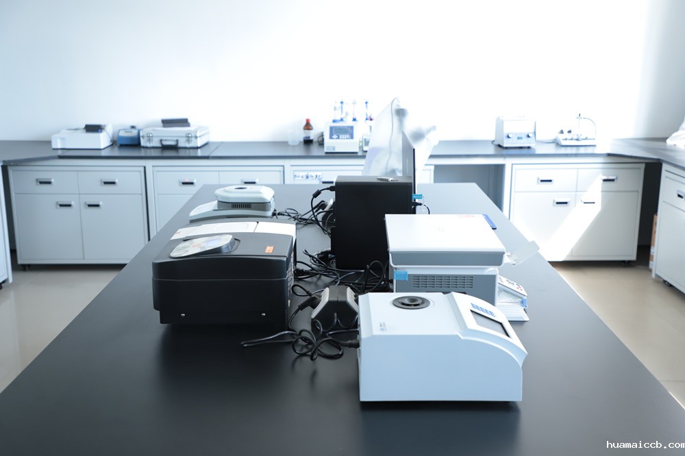 2026世界杯美国主办