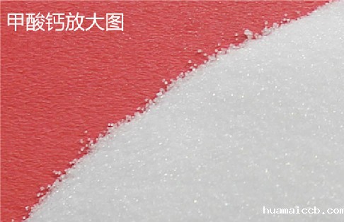 2026世界杯参赛球队-好吸收的钙！