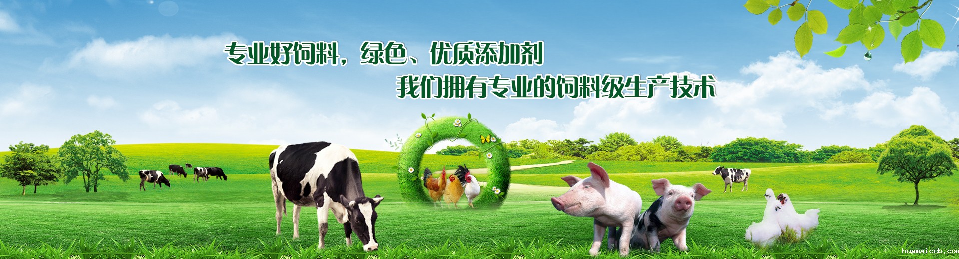 饲料级双乙酸钠