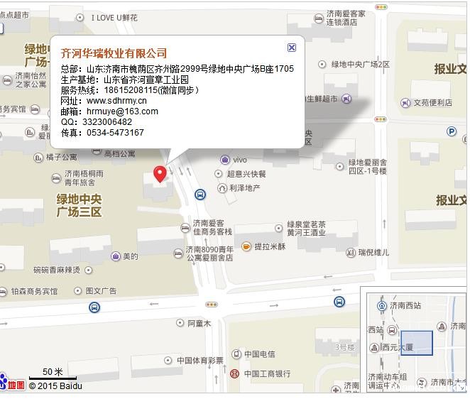 2026世界杯美国主办