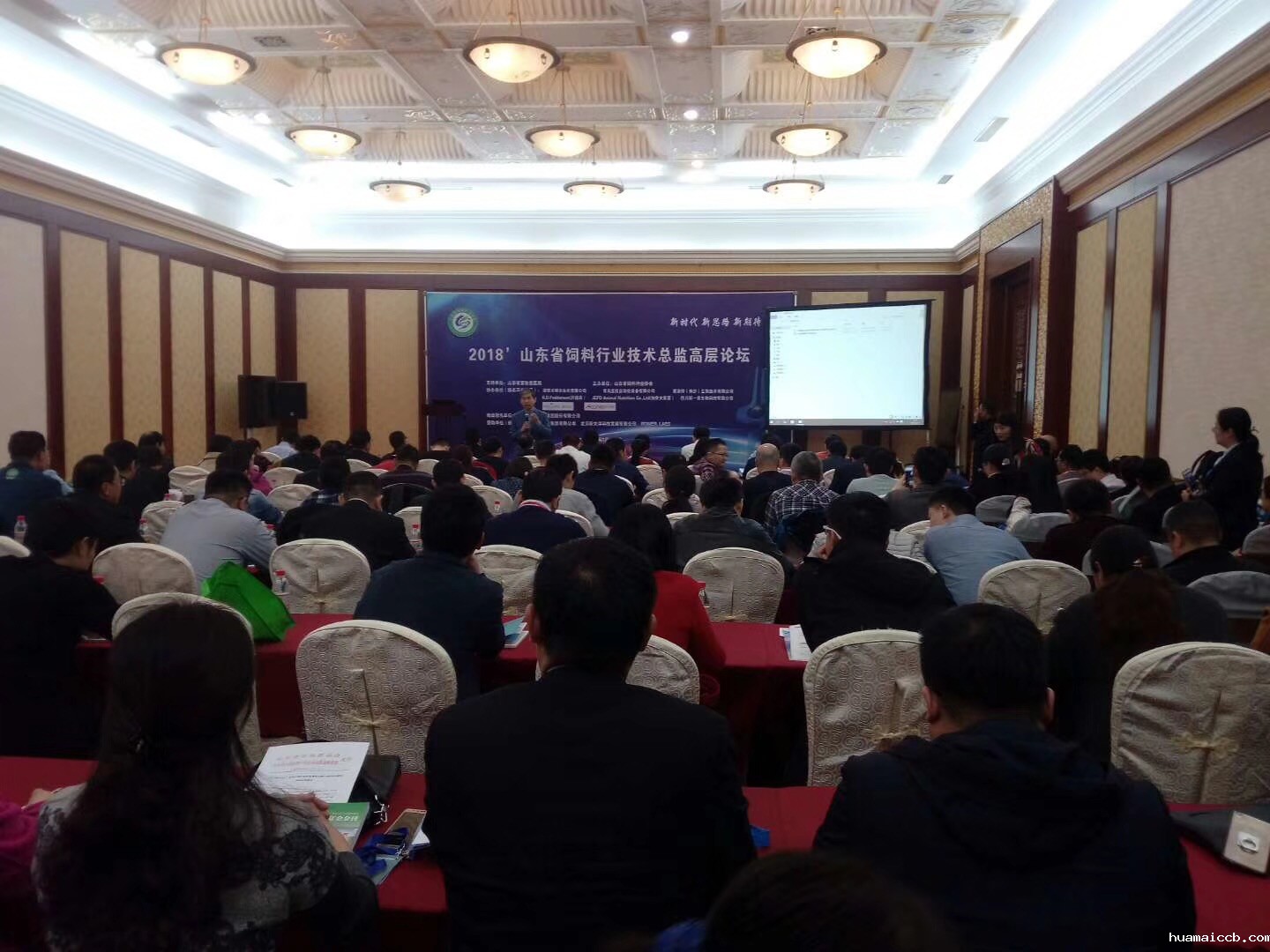 2026世界杯资格赛