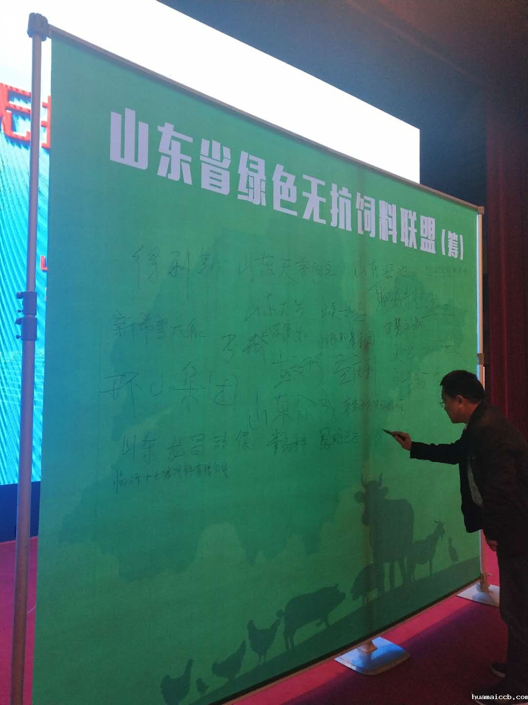 2026世界杯资格赛