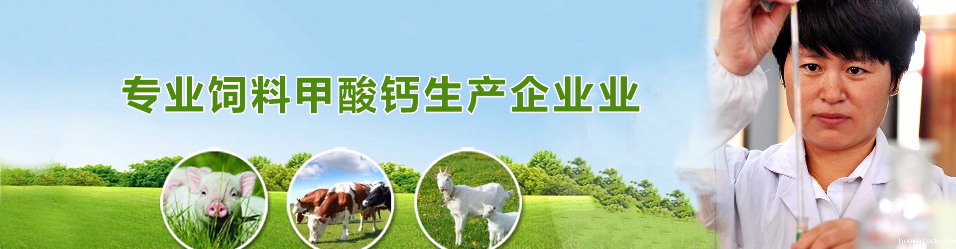 专业2026世界杯资格赛生产企业